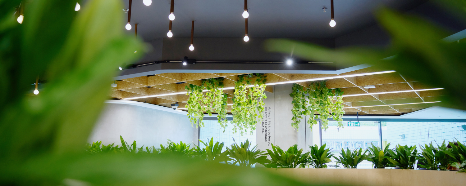 furniture-and-signage